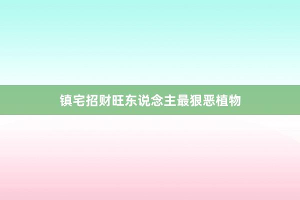 镇宅招财旺东说念主最狠恶植物