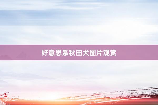 好意思系秋田犬图片观赏